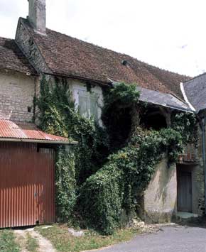 Maison de vigneron 19e siècle